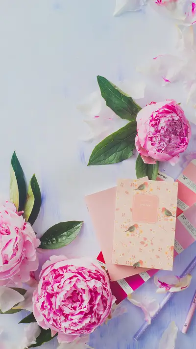 最美的情话 - Screenshot 1