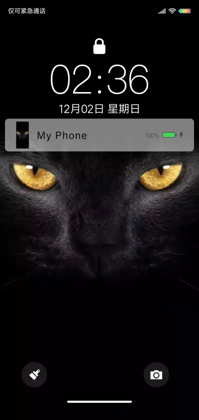 锁屏渐显黑猫开灯