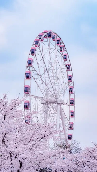 2020安心赏花攻略