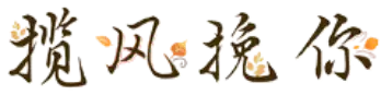揽风挽你