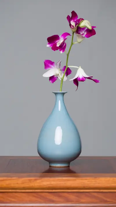 花语之蝴蝶兰 - Screenshot 1