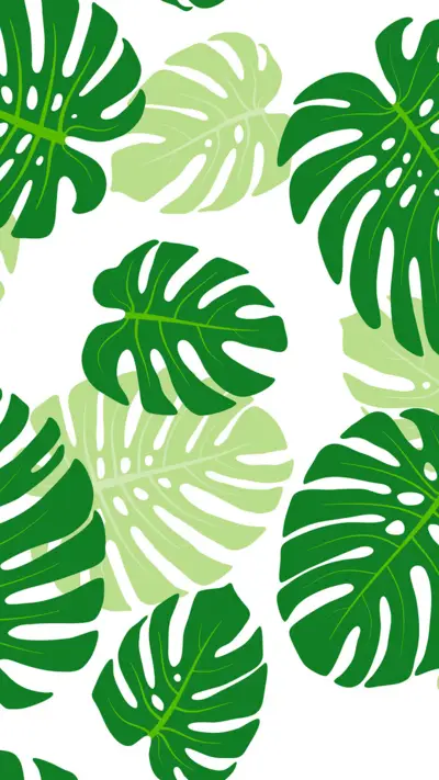 绿意盎然-拍信图库 - Screenshot 1