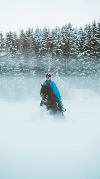 马到成功-锐景创意