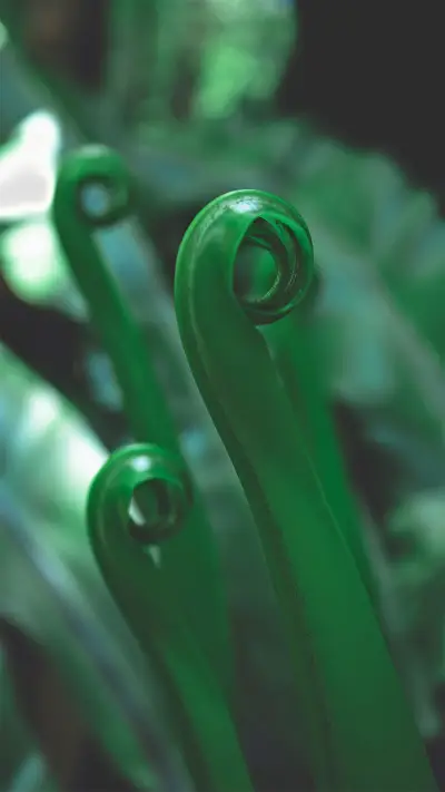 小世界，大神奇-拍信图库 - Screenshot 1