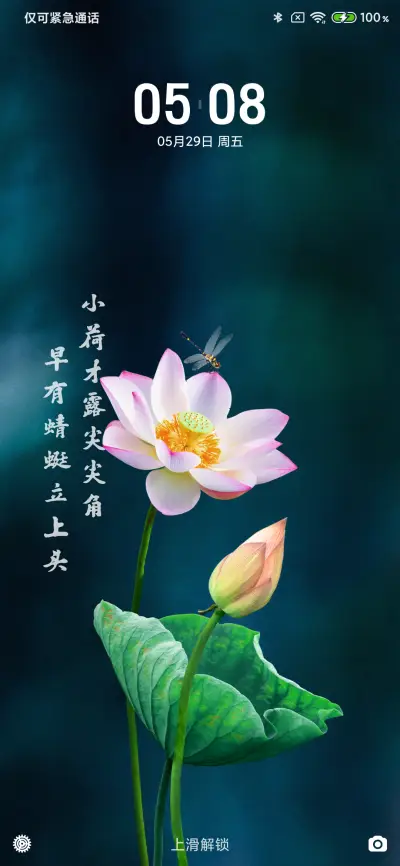 小荷才露尖尖角