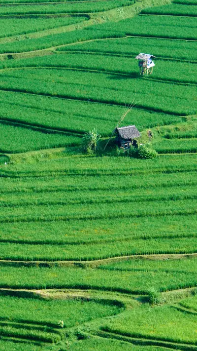 自然风光-拍信图库