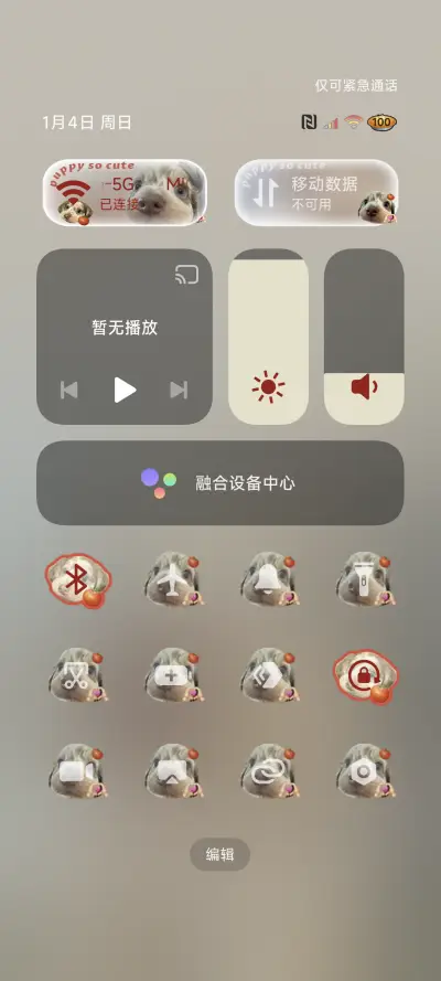 OS蜜蜂腊肠小狗 - Screenshot 5