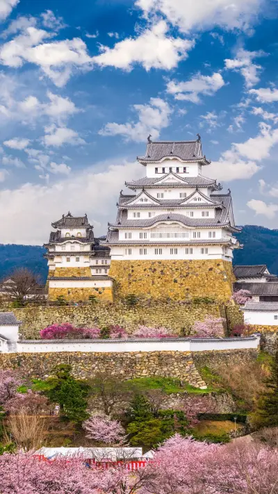 姬路城为何是不死之城