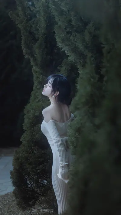 美女如云-锐景创意