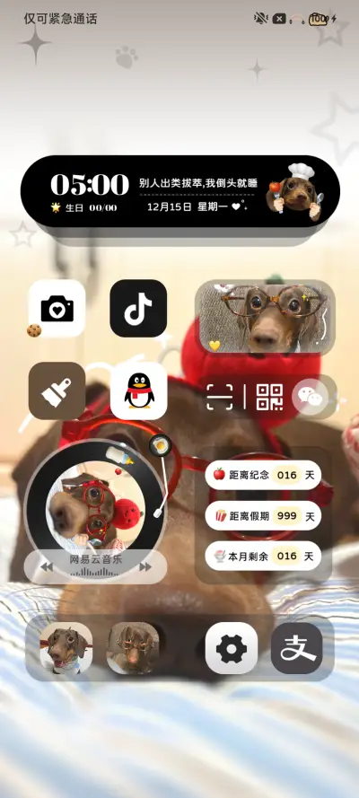 ins腊肠狗可爱多 - Screenshot 3