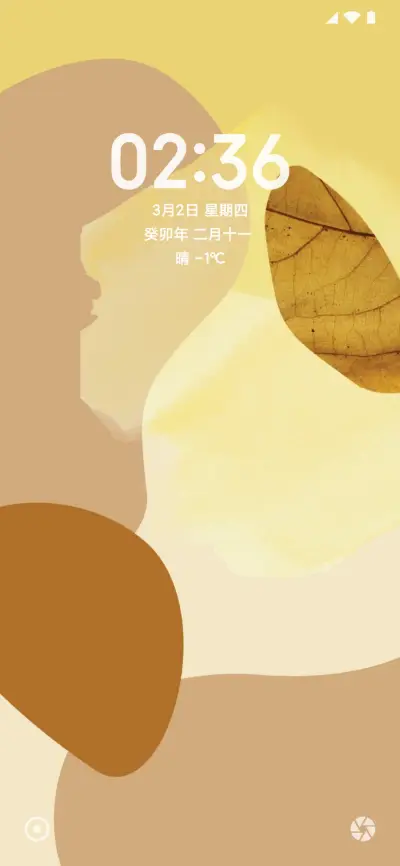 Android L Pro - Screenshot 2