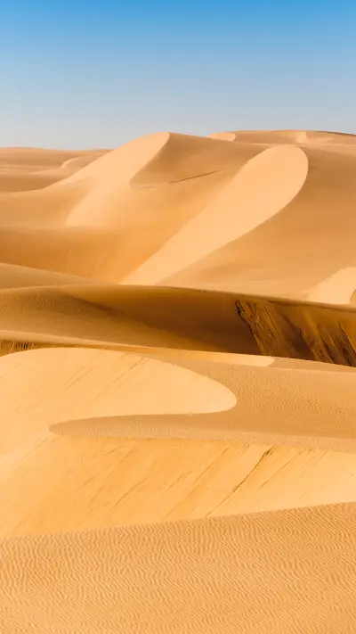 守护沙漠-拍信图库