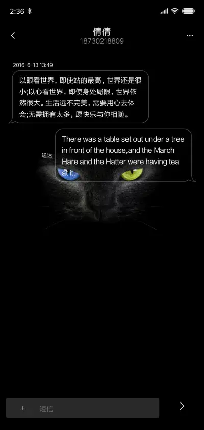 黑猫睁眼（可定制） - Screenshot 8