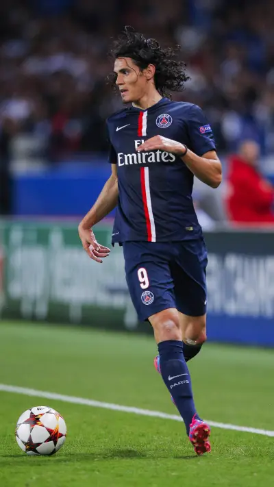 埃丁森·卡瓦尼