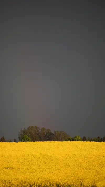 晴空之下-拍信图库