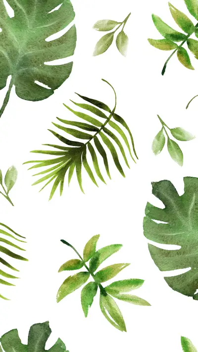 护眼绿植-拍信图库