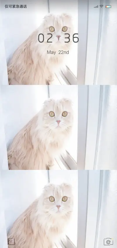 铲屎官 - Screenshot 1