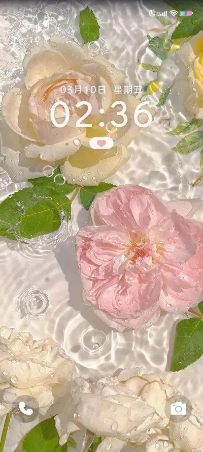 春为花忙 小组件 - Screenshot 2