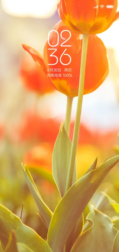 养眼花卉 - Screenshot 1