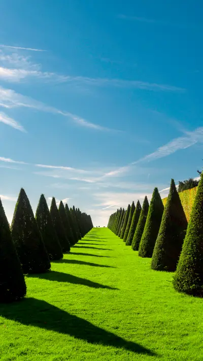 绿草蓝天-拍信图库 - Screenshot 1