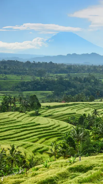 望你历尽山河湖海
