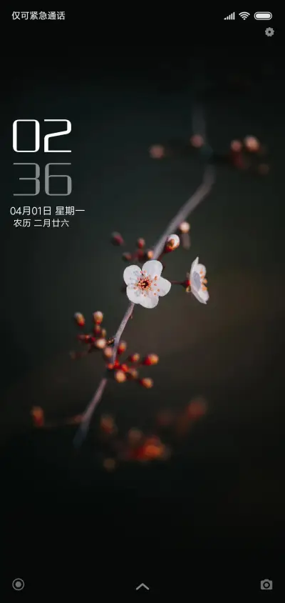 一枝梅