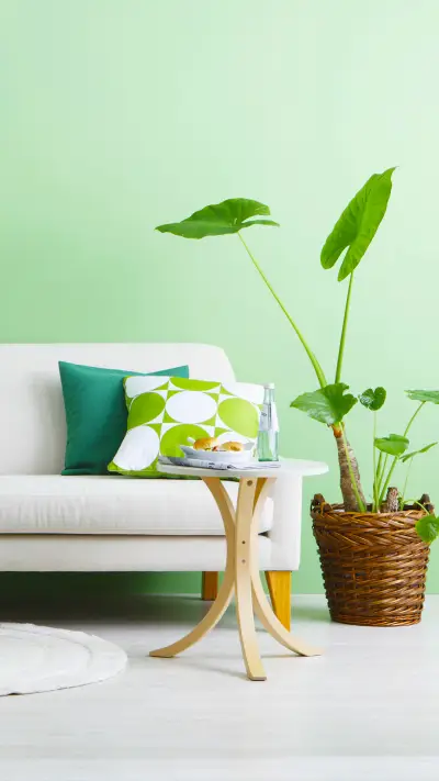 绿色系清新家居 - Screenshot 1