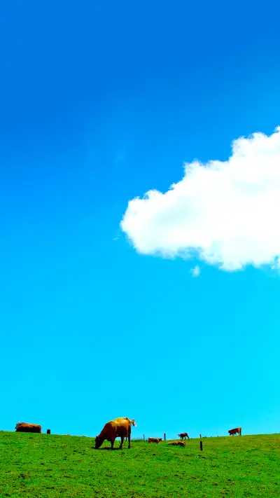 漫画系天空——拍信图库