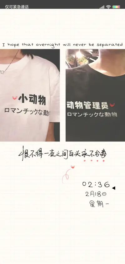 一夜白头永不分离