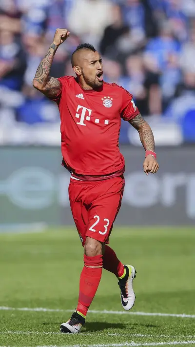 智利老鹰比达尔