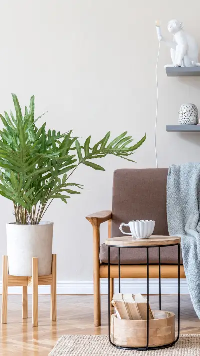 值得拥有的家居绿植