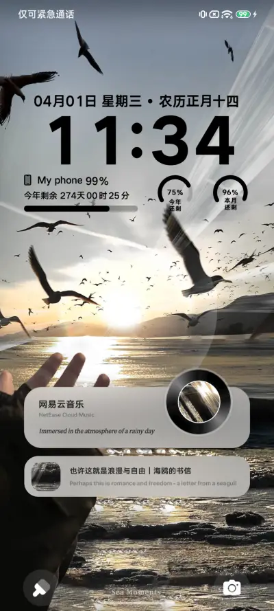 Pro 海鸥与日落 THEME for Xiaomi MIUI HyperOS