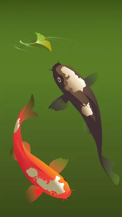 锦鲤画报-拍信图库