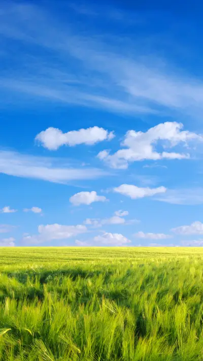 绿草蓝天-拍信图库