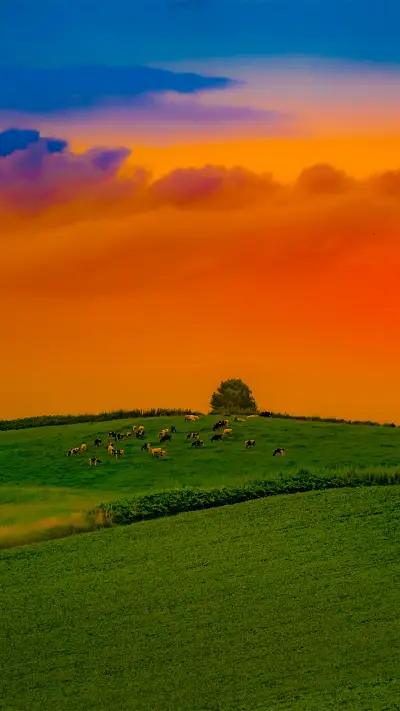 拥抱自然-拍信图库