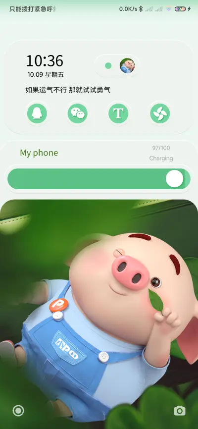 轻质感猪小屁 - Screenshot 4