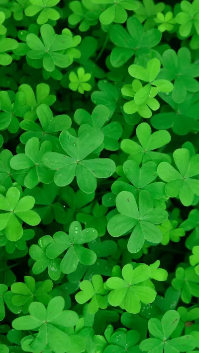 给自己一份坚强 - Screenshot 1