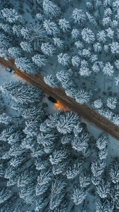 静谧冬日-拍信图库