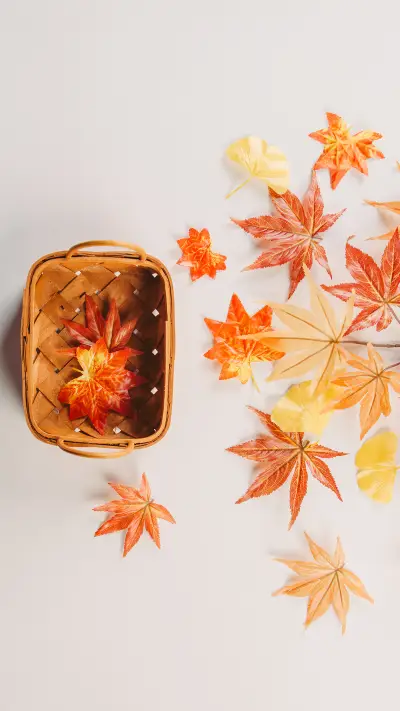 枫叶-锐景创意 - Screenshot 1