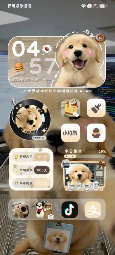 ins天选打工金毛 - Screenshot 5