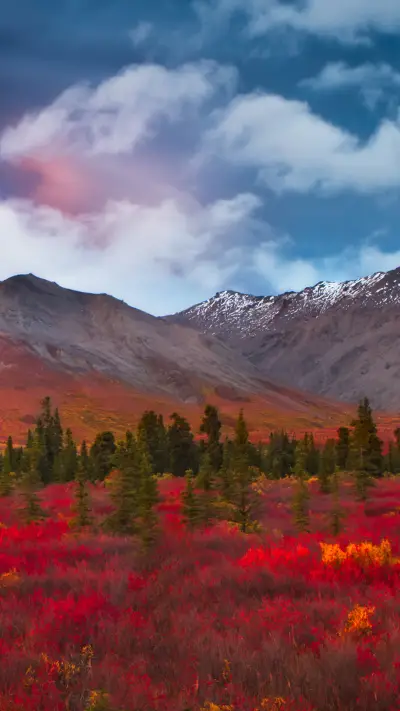 红色原野-视觉中国