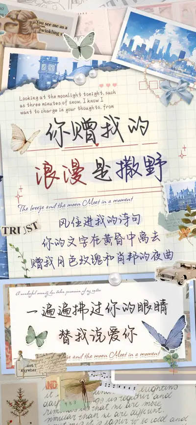 你赠我的浪漫是撒野 - Screenshot 1