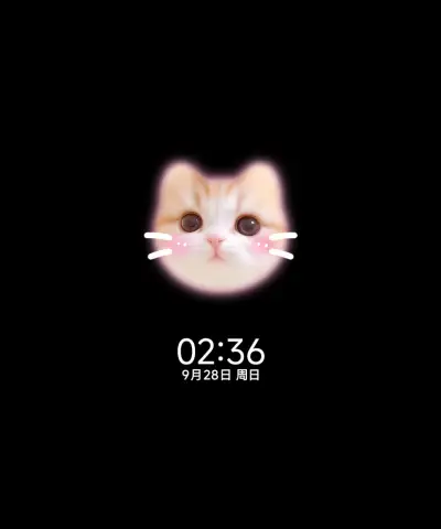 你的小猫卷