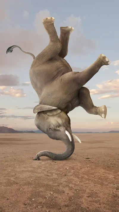 最大的陆栖哺乳动物 - Screenshot 1