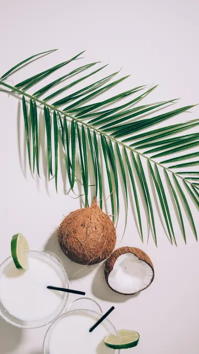 小清新椰子-锐景创意