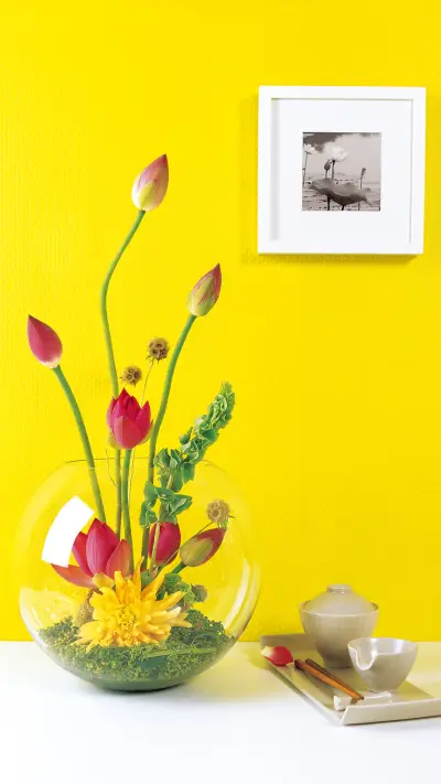 勇敢地追求成功