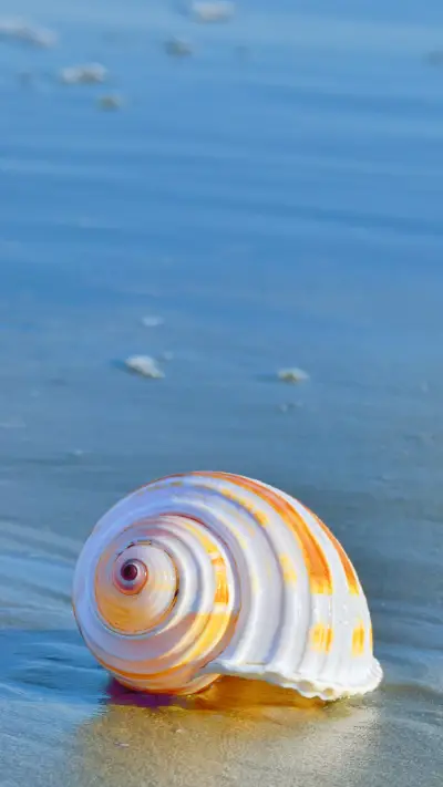 勤奋读书 - Screenshot 1