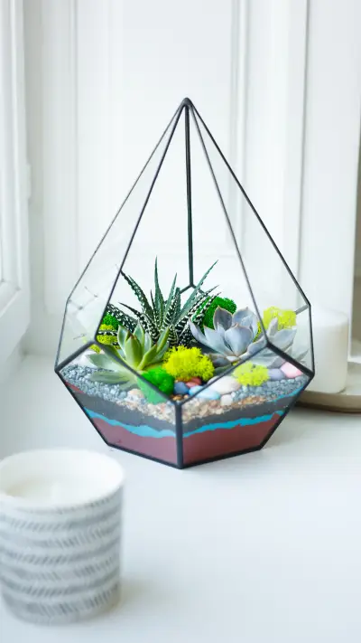 锦花绣草-锐景创意 - Screenshot 1