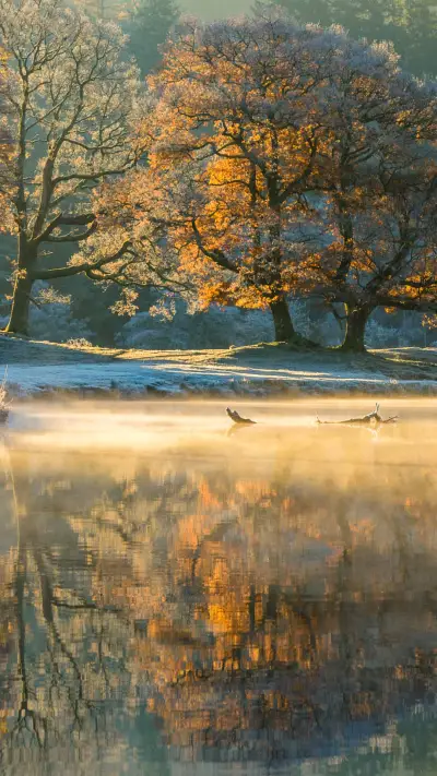 阅读使人升华 - Screenshot 1