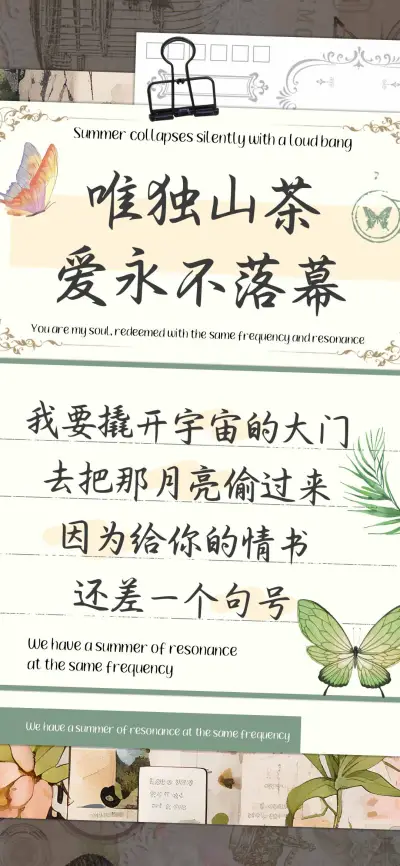 唯独山茶爱永不落幕 - Screenshot 1